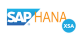SAP HANA XS Advanced logo