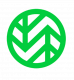 wasabi icon